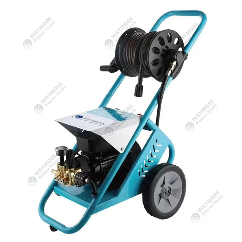 Professional Car Washer for Car Washing